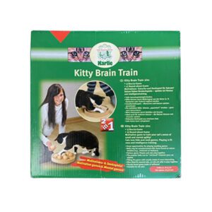 Kattleksak Kitty Brain Train 2 i 1